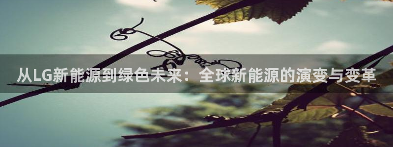 摩根娱乐L老L板50820