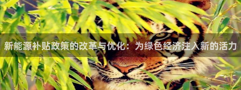 摩根娱乐开户总s管50015 15