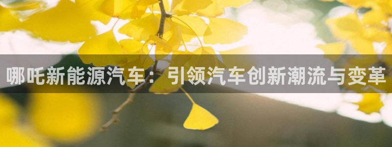 摩根娱乐官网