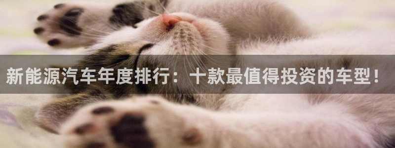 摩根娱乐宝怎么下载