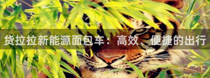长沙摩根娱乐：货拉拉新能源面包车：高效、