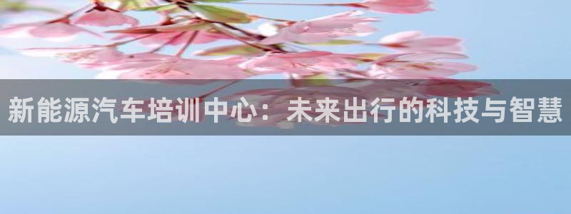 摩根娱乐宝怎么进入：新能源汽车培训中心：