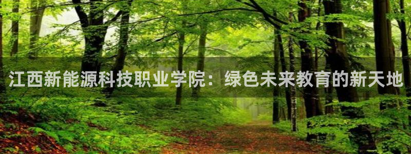 摩根娱乐宝怎样拉下线：江西新能源科技职业