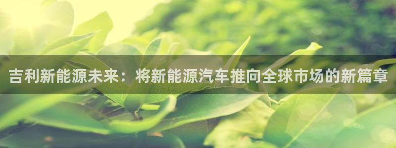 泉州摩根会娱乐张桂花：吉利新能源未来：将
