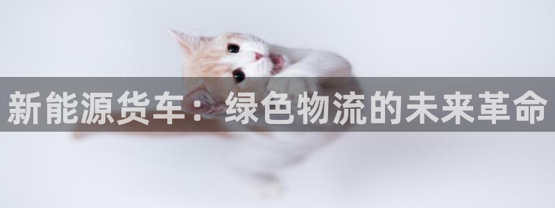 摩根娱乐宝可信吗