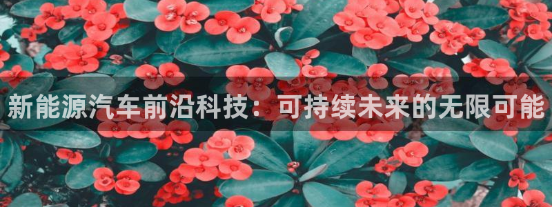 摩根国际娱乐宝下载