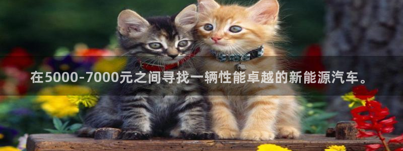 摩根兄弟进军娱乐圈