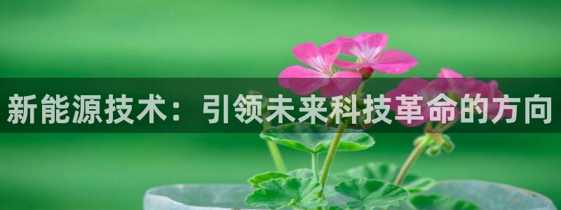 摩根娱乐宝使用操作