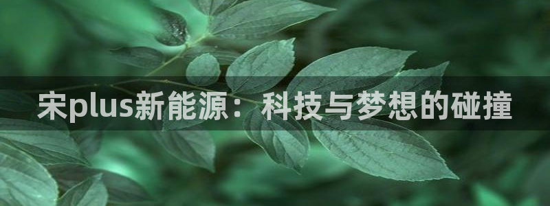 摩根娱乐宝收益怎么样