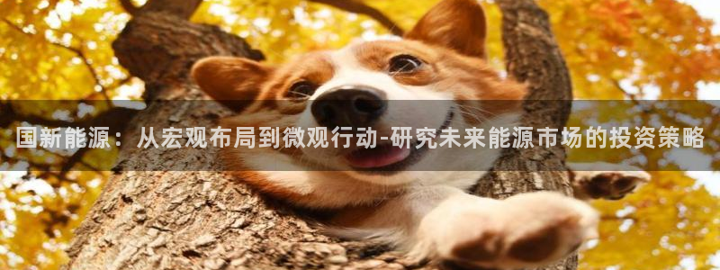 摩根娱乐骗局：国新能源：从宏观布局到微观