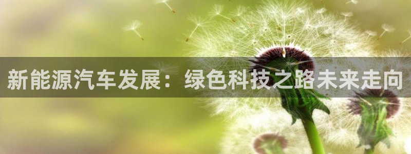 摩根娱乐50186：新能源汽车发展：绿色