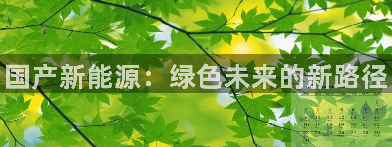 摩根娱乐帐7O777：国产新能源：绿色未