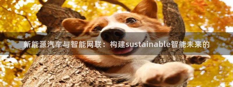 摩根娱乐50186叩