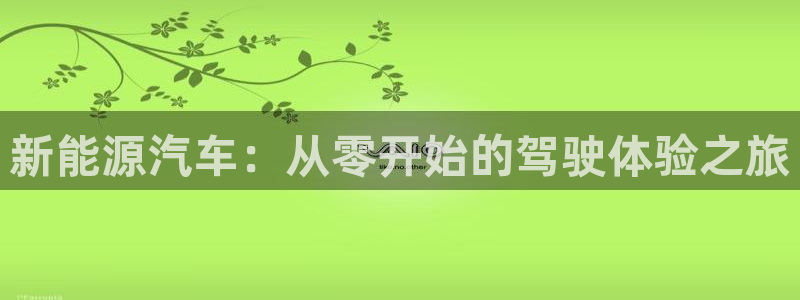 主角是摩根家族的娱乐文