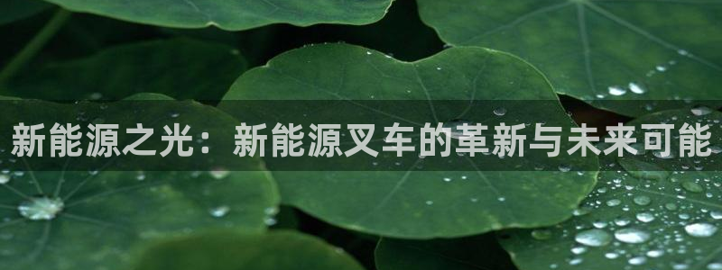 泉州摩根娱乐