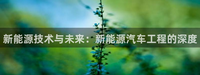 白宫摩根娱乐场所