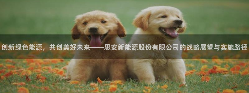 福建泉州白宫摩根会娱乐