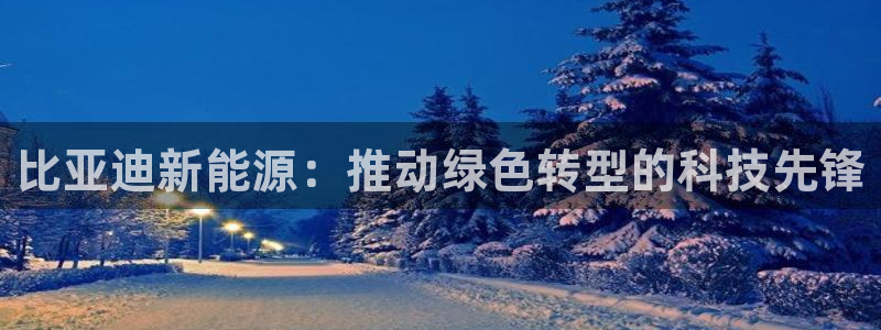 摩根娱乐 实c力77310：比亚迪新能源