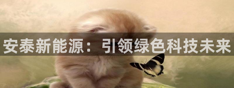 摩根娱乐宝平台