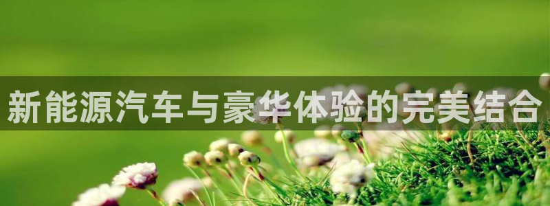 摩根大通狮门娱乐目标价：新能源汽车与豪华