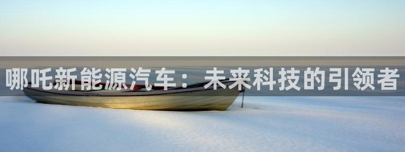 义乌市摩根娱乐厅：哪吒新能源汽车：未来科