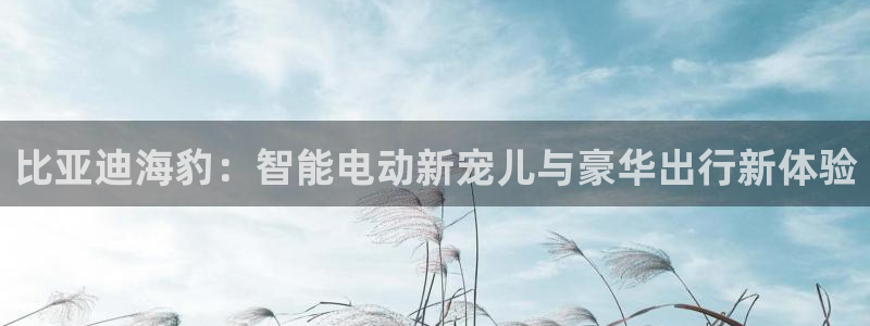 摩根娱乐 实c力77310：比亚迪海豹：