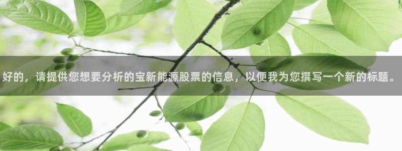 摩根娱乐宝k线图:好的,请提供您想要分析的宝新能源股票的信息
