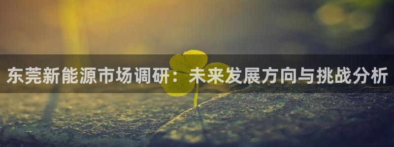 白宫摩根会娱乐会所:东莞新能源市场调研:未来发展方向与挑战分