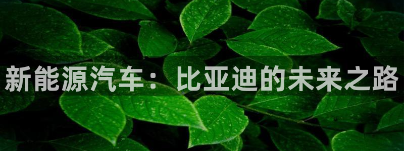 义乌摩根娱乐阿峰:新能源汽车:比亚迪的未来之路