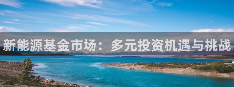义乌摩根娱乐会所小费:新能源基金市场:多元投资机遇与挑战