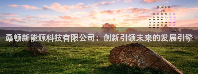 义乌摩根娱乐:桑顿新能源科技有限公司:创新引领未来的发展引擎