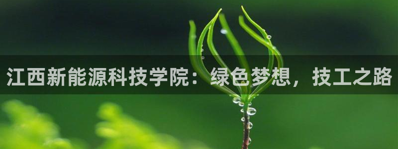 重生娱乐人生莉莉丝摩根:江西新能源科技学院:绿色梦想,技工之