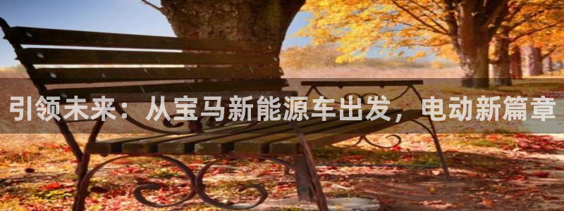 摩根娱乐公司:引领未来:从宝马新能源车出发,电动新篇章