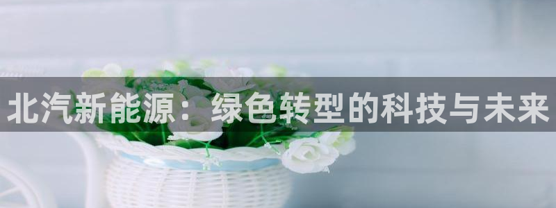 摩根娱乐宝怎么盈利:北汽新能源:绿色转型的科技与未来