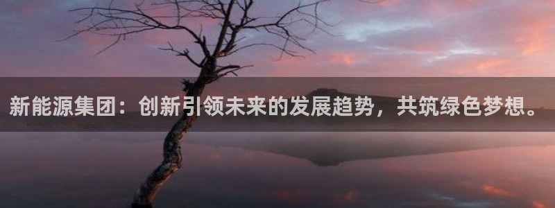 摩根娱乐宝骗局:新能源集团:创新引领未来的发展趋势,共筑绿色