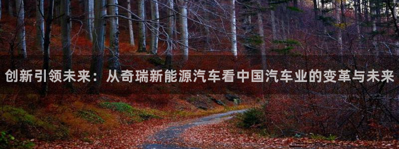 摩根大通黄金娱乐:创新引领未来:从奇瑞新能源汽车看中国汽车业