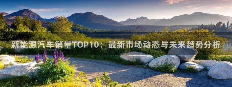 摩根娱乐是什么:新能源汽车销量TOP10:最新市场动态与未来