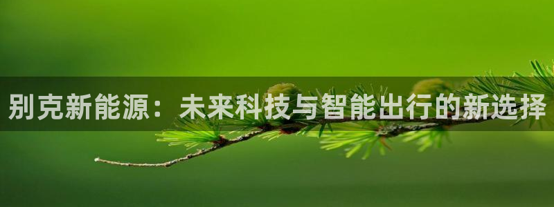 摩根兄弟进军娱乐圈:别克新能源:未来科技与智能出行的新选择