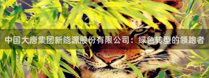 摩根娱乐套路:中国大唐集团新能源股份有限公司:绿色转型的领跑