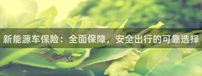 摩根娱乐宝软件下载:新能源车保险:全面保障,安全出行的可靠选