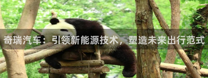 摩根娱乐开户总s管50015 15:奇瑞汽车:引领新能源技术