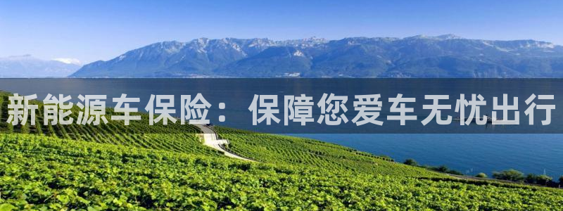 摩根娱乐宝总部招商:新能源车保险:保障您爱车无忧出行