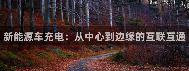 深圳摩根时代娱乐公司:新能源车充电:从中心到边缘的互联互通