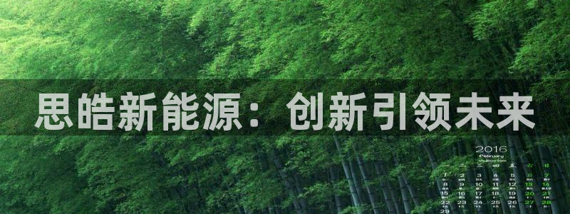 摩根在娱乐圈爆红:思皓新能源:创新引领未来