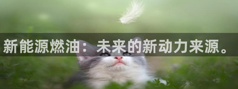 泉州摩根会娱乐保安:新能源燃油:未来的新动力来源。