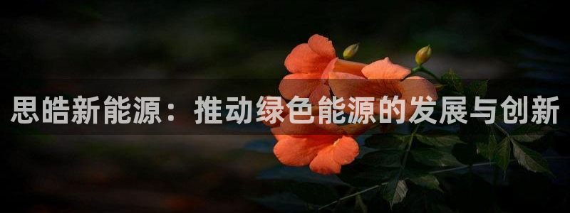 摩根娱乐这个平台怎么样:思皓新能源:推动绿色能源的发展与创新