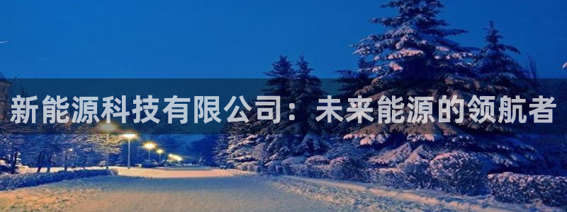 摩根大通投资娱乐公司:新能源科技有限公司:未来能源的领航者