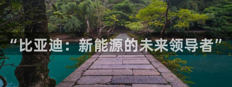 摩根娱乐宝怎么进入:“比亚迪:新能源的未来领导者”