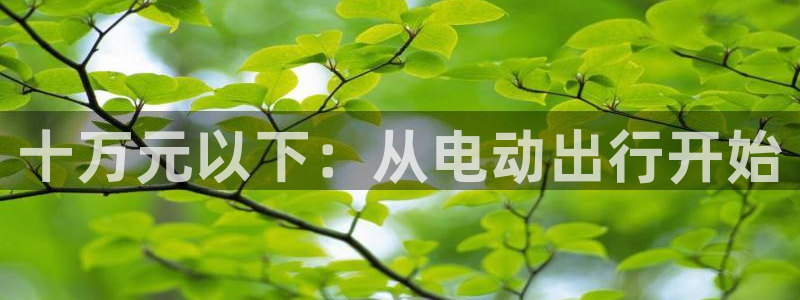 摩根克里克娱乐公司:十万元以下:从电动出行开始