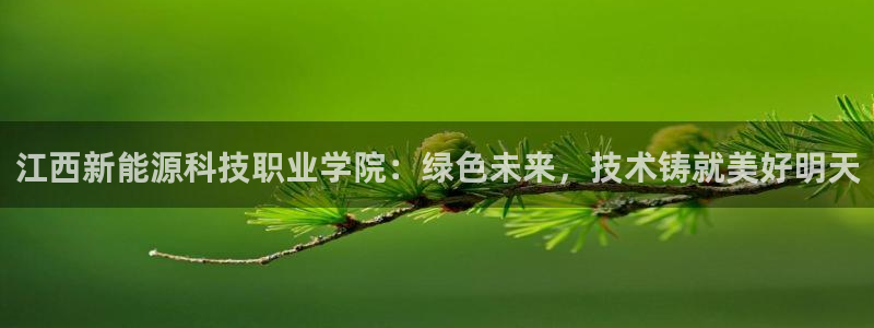 摩根娱乐宝-:江西新能源科技职业学院:绿色未来,技术铸就美好